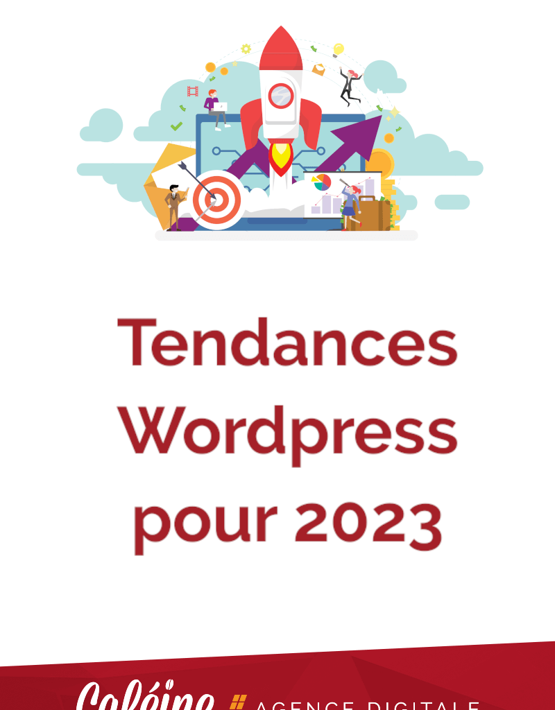tendances wordpress 2023 pin