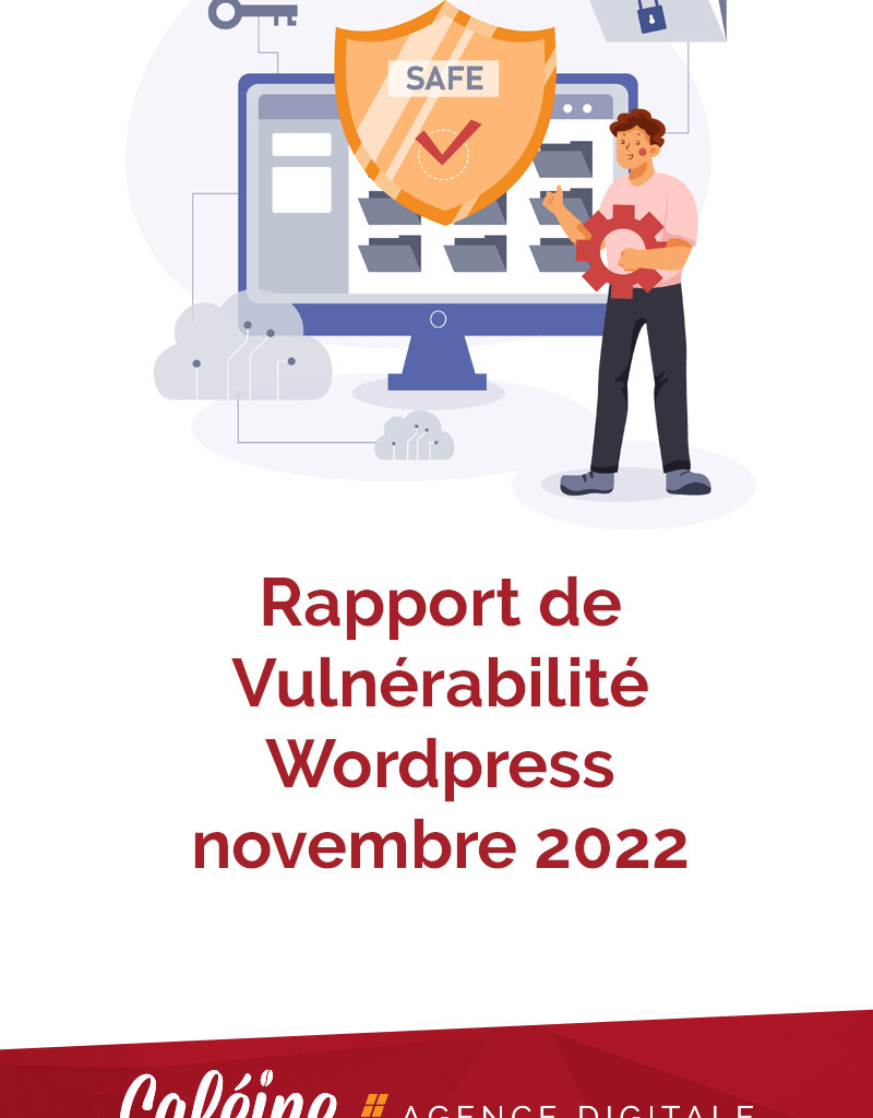 vulnérabilités wordpress novembre 2022 pin